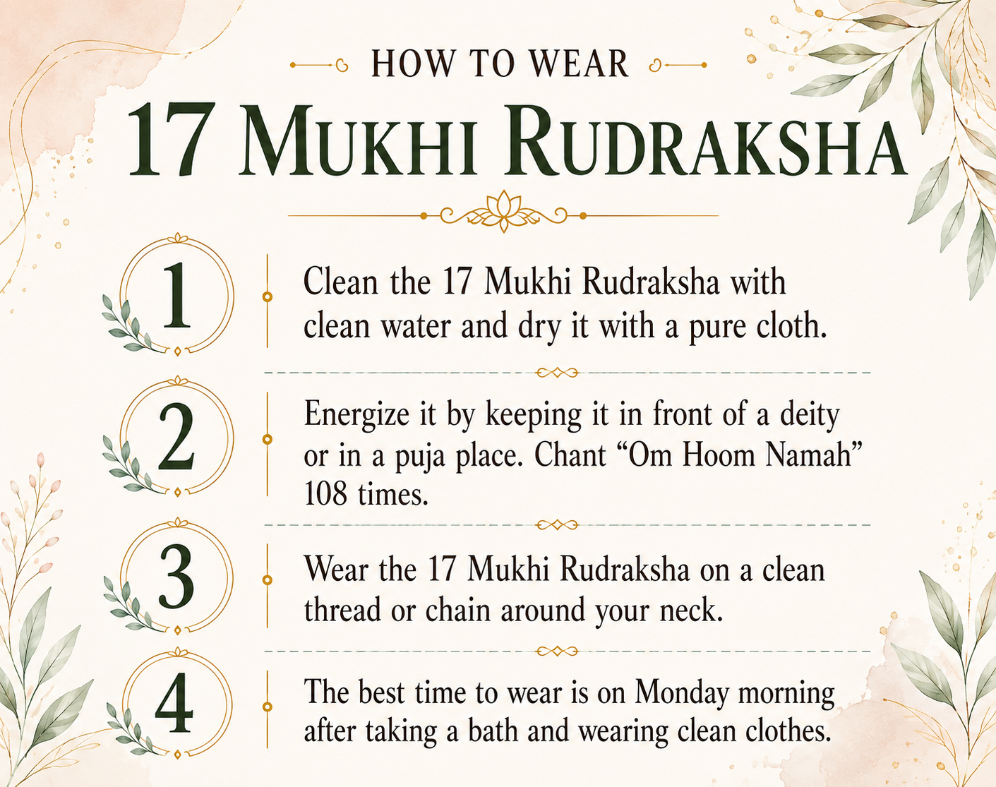 17 Mukhi Rudraksha (Nepal Origin)